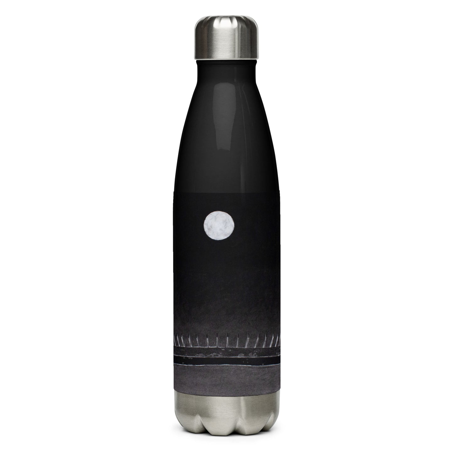 "Mars Over LaSalle" Stainless Steel Water Bottle