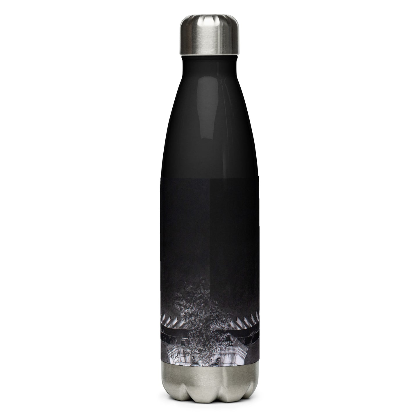 "Mars Over LaSalle" Stainless Steel Water Bottle