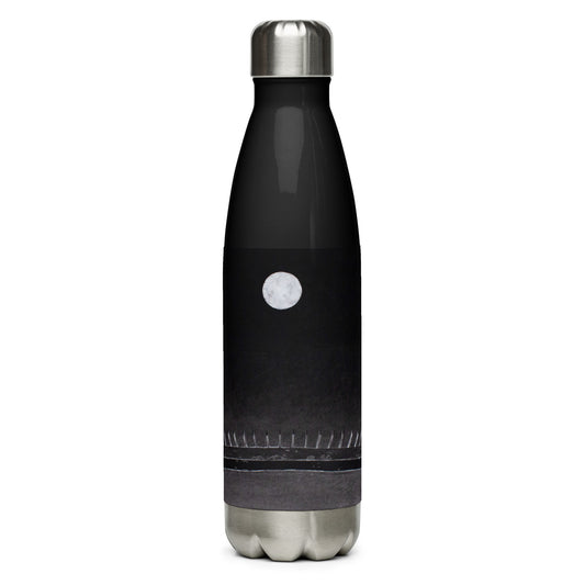 "Mars Over LaSalle" Stainless Steel Water Bottle