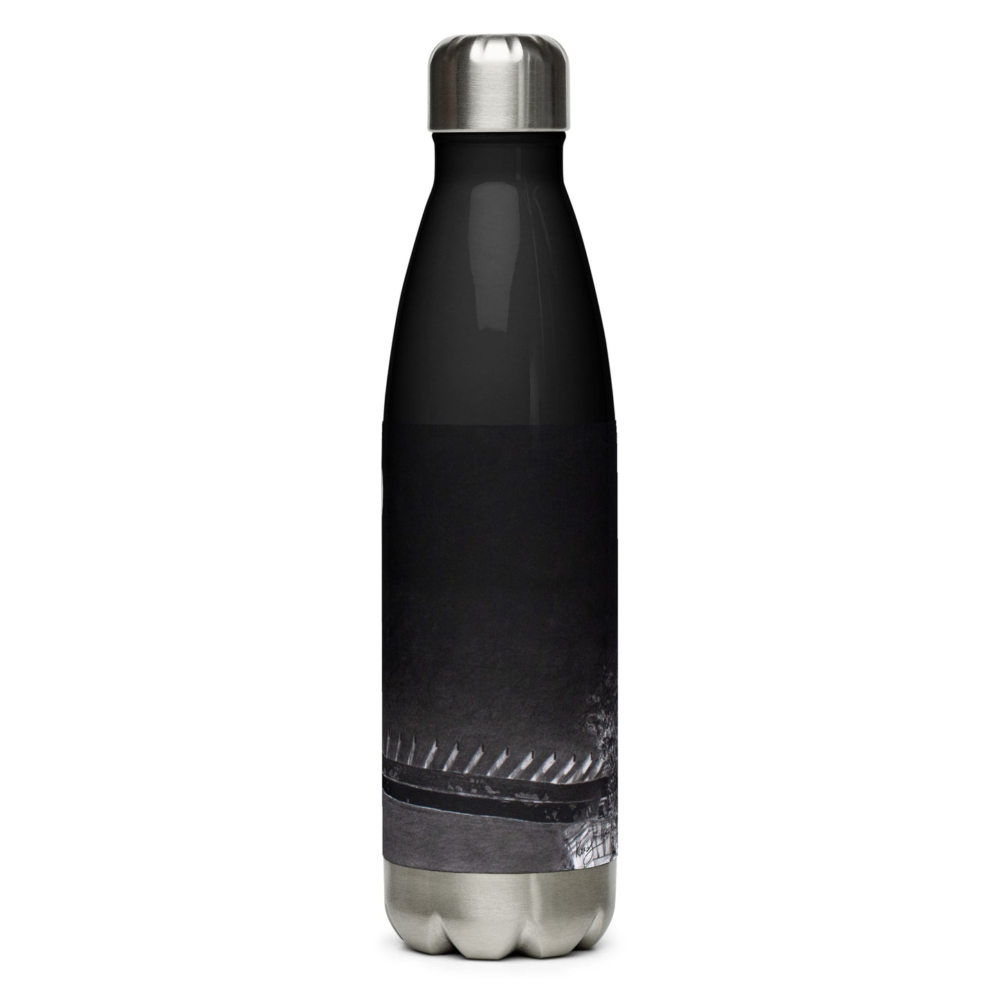 "Mars Over LaSalle" Stainless Steel Water Bottle