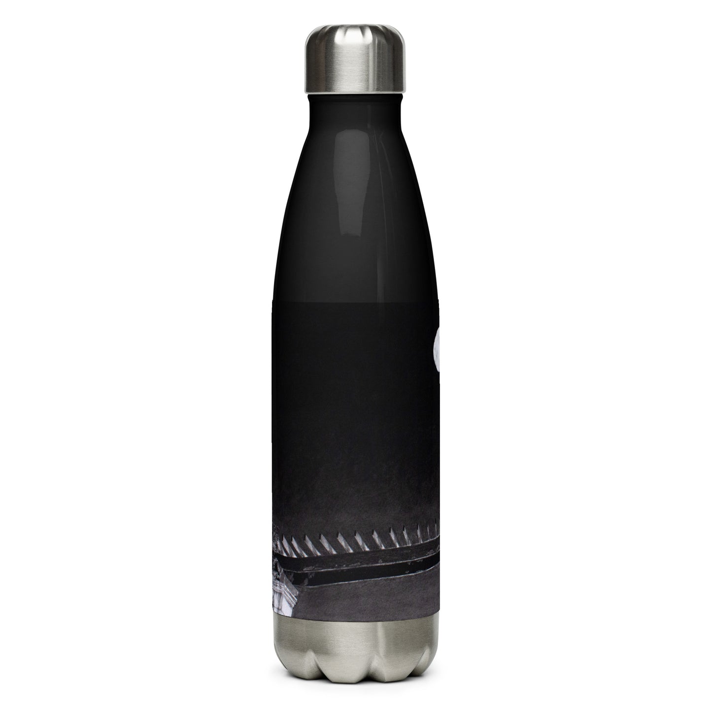 "Mars Over LaSalle" Stainless Steel Water Bottle